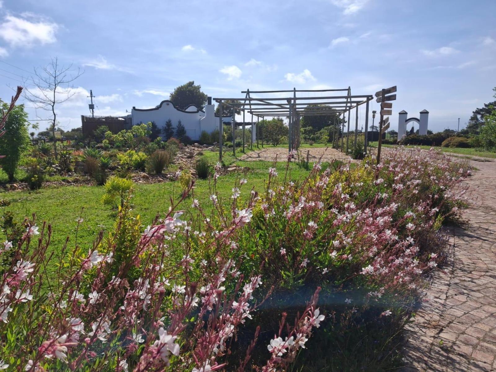 Appartamento Dunkes Organic Equestrian Estate George Esterno foto