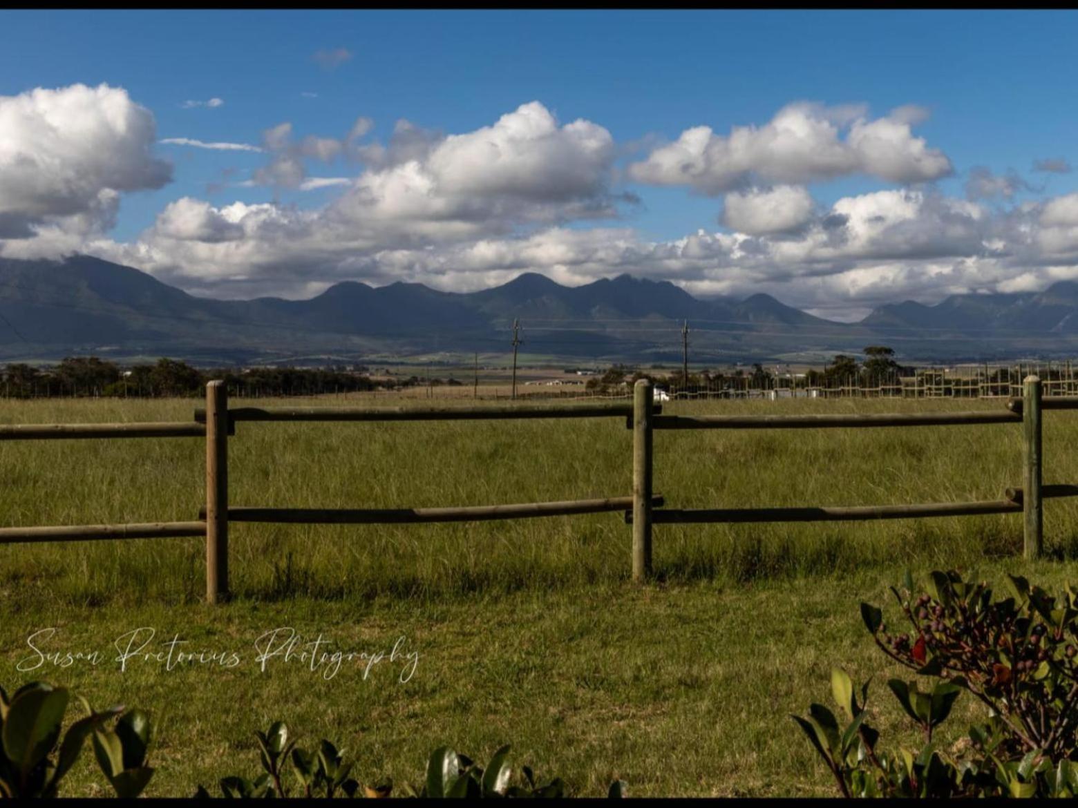 Appartamento Dunkes Organic Equestrian Estate George Esterno foto