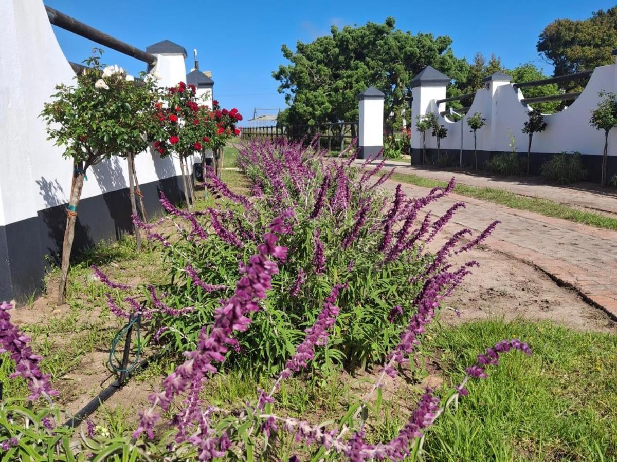 Appartamento Dunkes Organic Equestrian Estate George Esterno foto
